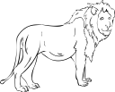 Lion Clipart