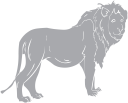 Lion Clipart