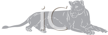 Lion Clipart