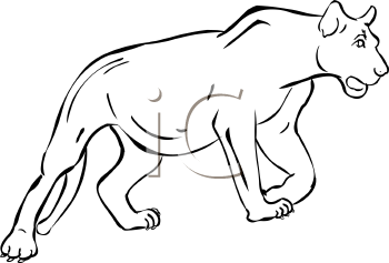 Lion Clipart