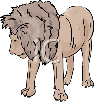 Lion Clipart