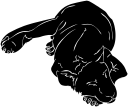 Lion Clipart