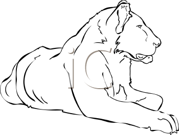 Lion Clipart