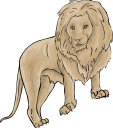 Lion Clipart