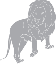 Lion Clipart