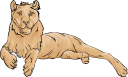 Lion Clipart