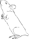 Mouse Clipart