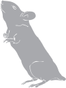 Mouse Clipart