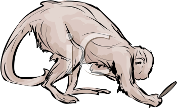 Monkey Clipart