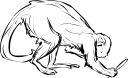 Monkey Clipart