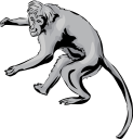 Monkey Clipart
