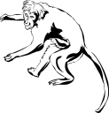 Monkey Clipart
