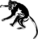 Monkey Clipart