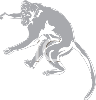 Monkey Clipart