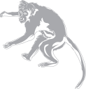 Monkey Clipart
