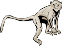 Monkey Clipart