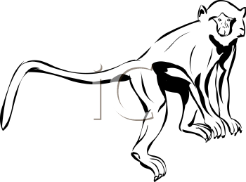 Monkey Clipart