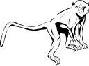 Monkey Clipart