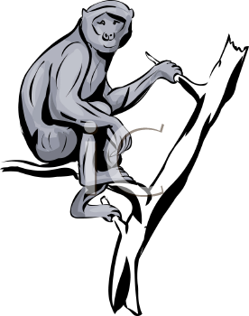 Monkey Clipart