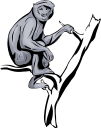 Monkey Clipart