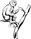Monkey Clipart