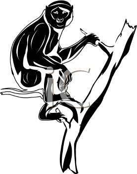 Monkey Clipart