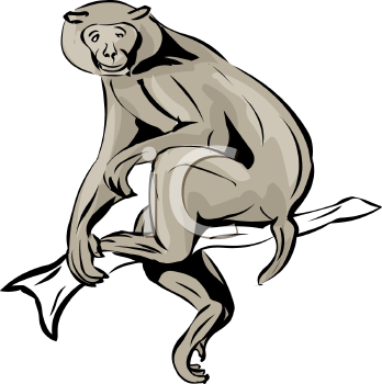 Monkey Clipart