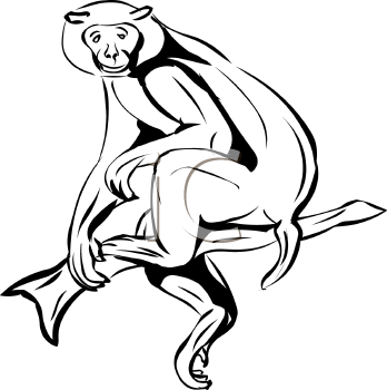 Monkey Clipart