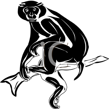 Monkey Clipart