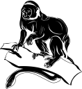 Monkey Clipart
