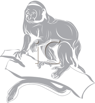 Monkey Clipart