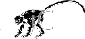 Monkey Clipart