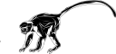 Monkey Clipart