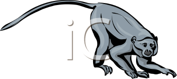 Monkey Clipart