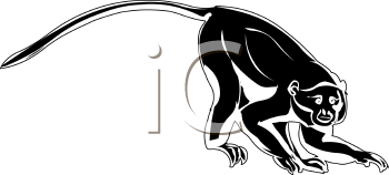 Monkey Clipart
