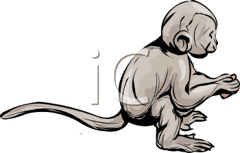 Monkey Clipart