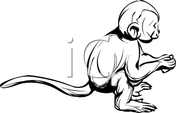 Monkey Clipart
