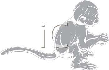 Monkey Clipart