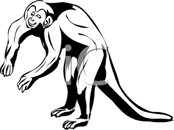 Monkey Clipart