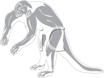 Monkey Clipart
