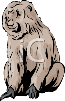 Monkey Clipart