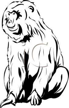 Monkey Clipart