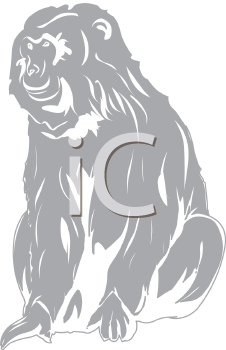 Monkey Clipart