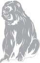 Monkey Clipart