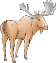 Moose Clipart