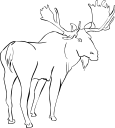 Moose Clipart