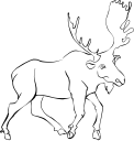 Moose Clipart