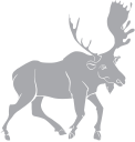 Moose Clipart
