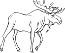 Moose Clipart