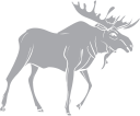 Moose Clipart